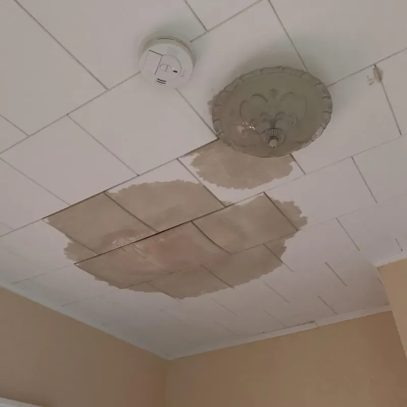 Ceiling Water Damage Repair in Oronoco, MN